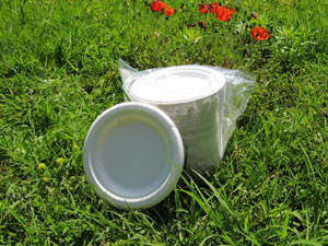 Piatti biodegradabili in cellulosa 15.5 cm. diametro in confezione da 125 pezzi Piatti biodegradabili in cellulosa 15.5 cm. diametro in confezione da 125 pezzi