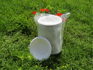 Piatti fondi biodegradabili in confezioni da 125 pezzi, 12oz 350ml. Piatti fondi biodegradabili in confezioni da 125 pezzi, 12oz 350ml.