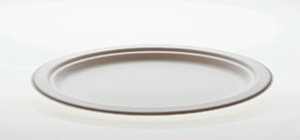 Scatola di 500 piatti biodegradabili cellulosa OVALE 26x19 cm. Scatola di 500 piatti biodegradabili cellulosa OVALE 26x19 cm.