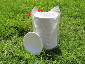 Piatti fondi biodegradabili in confezioni da 125 pezzi, 16oz 470ml. Piatti fondi biodegradabili in confezioni da 125 pezzi, 16oz 470ml.